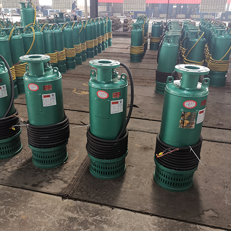 BQS55礦用排沙泵